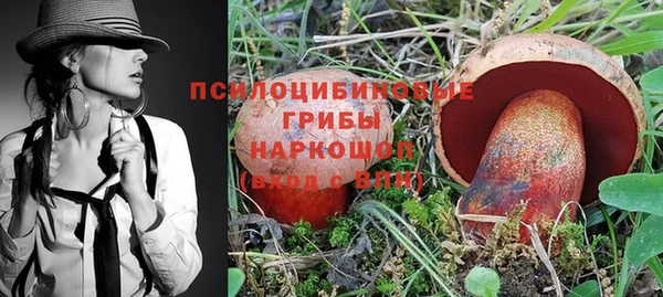 бошки Верхний Тагил