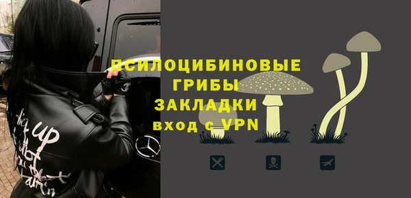 бошки Верхний Тагил